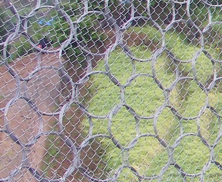 被動(dòng)環(huán)形網(wǎng)