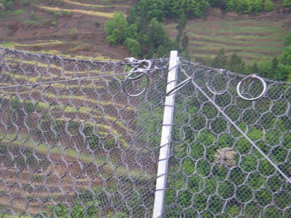 被動(dòng)環(huán)形網(wǎng) 被動(dòng)環(huán)形網(wǎng)